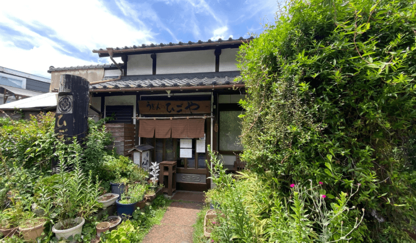 ひごやうどん