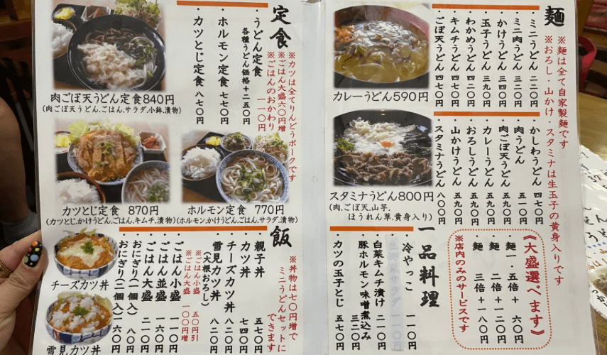ひごやうどん
